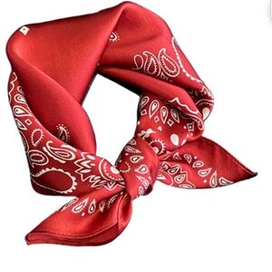 Red Paisley Satin Bandana